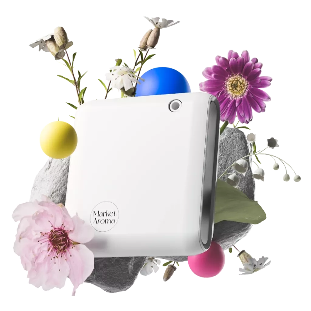 Promotions on Fragrances Promotions on Fragrances