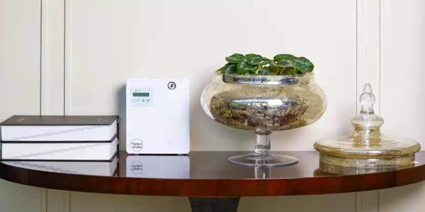 Beneficiile parfumului ambiental pentru afacerea ta: Tot ce trebuie să știi Beneficiile parfumului ambiental pentru afacerea ta: Tot ce trebuie să știi